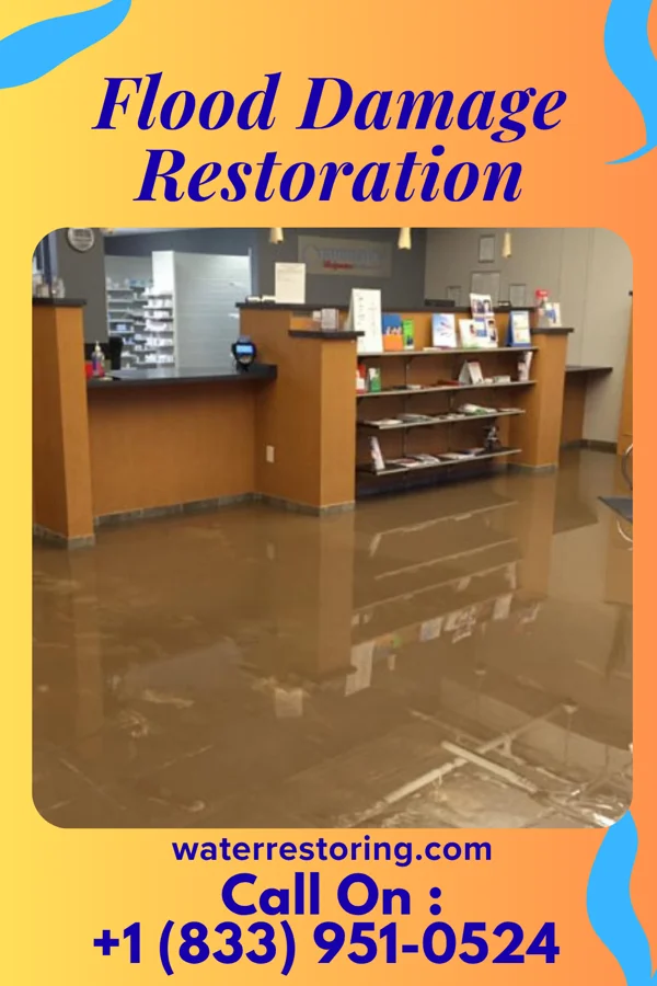 Flood Damage Restoration in Falkland, NC