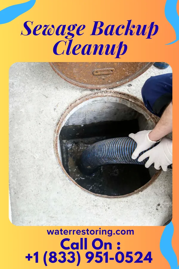 Sewage Backup Cleanup in Falkland, NC