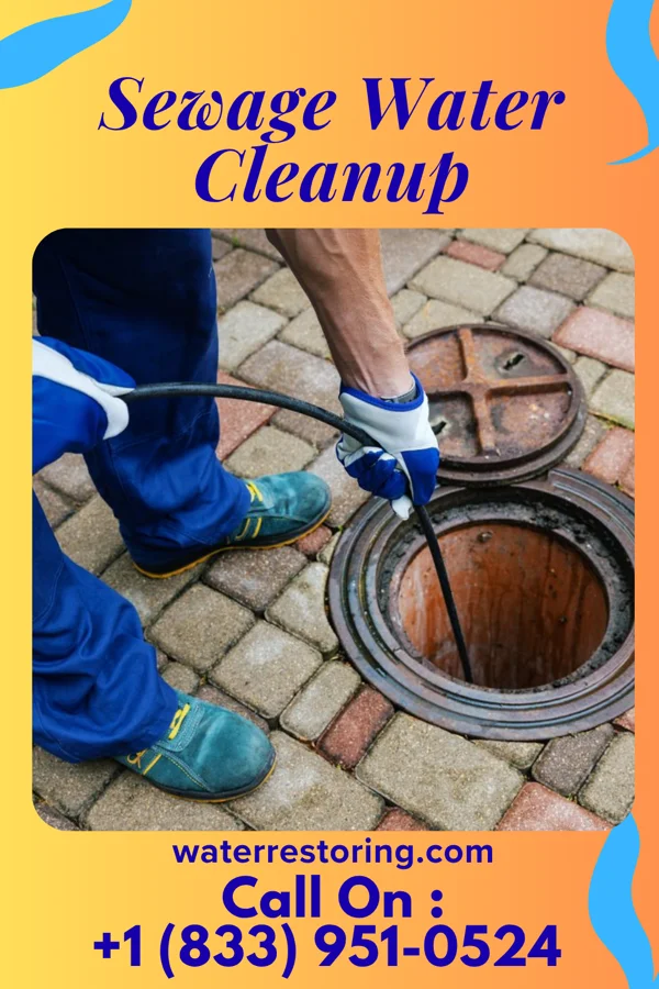 Sewage Water Cleanup in Falkland, NC